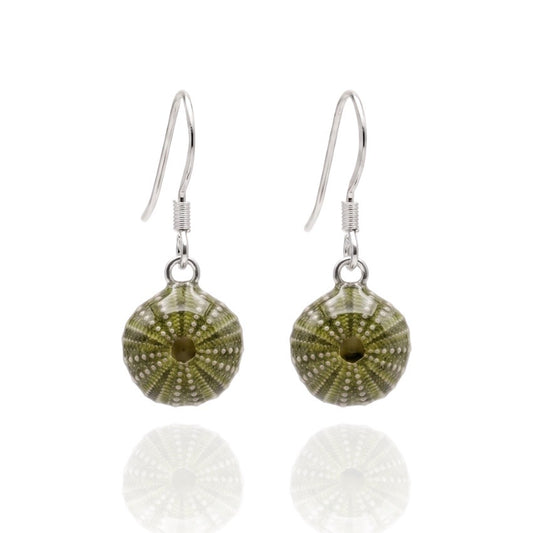 Sea Urchin Shell Earrings