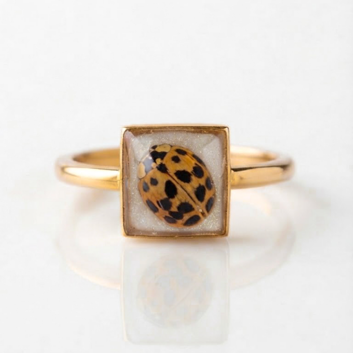 LadyBug Ring