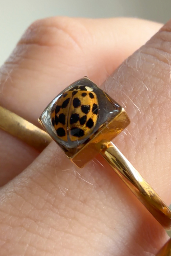 LadyBug Ring