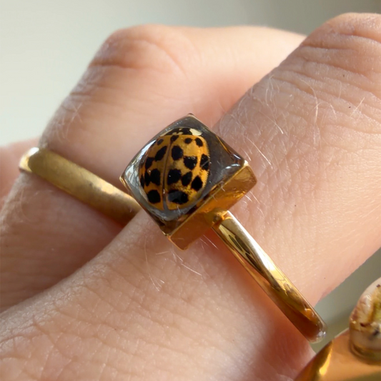 LadyBug Ring