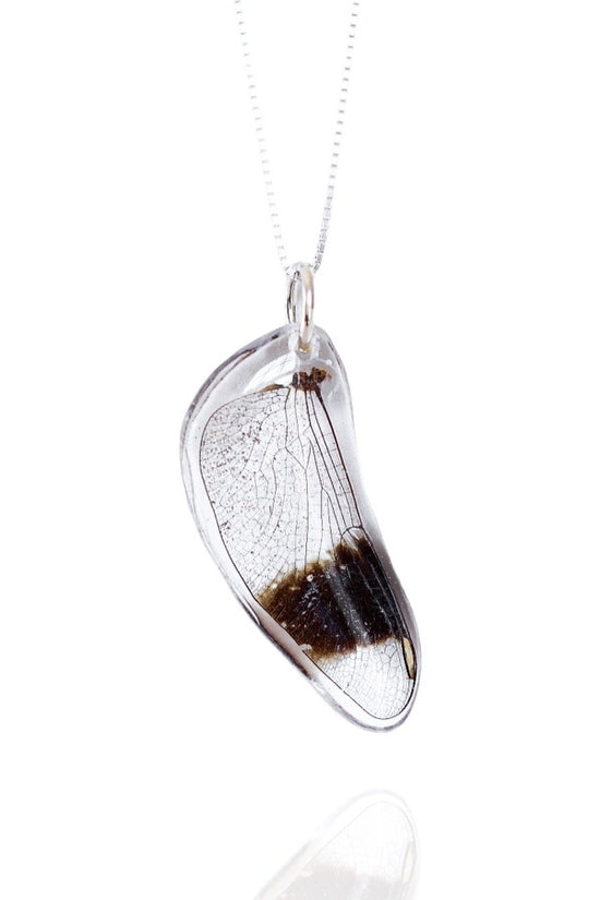 Dragonfly Wing Necklace