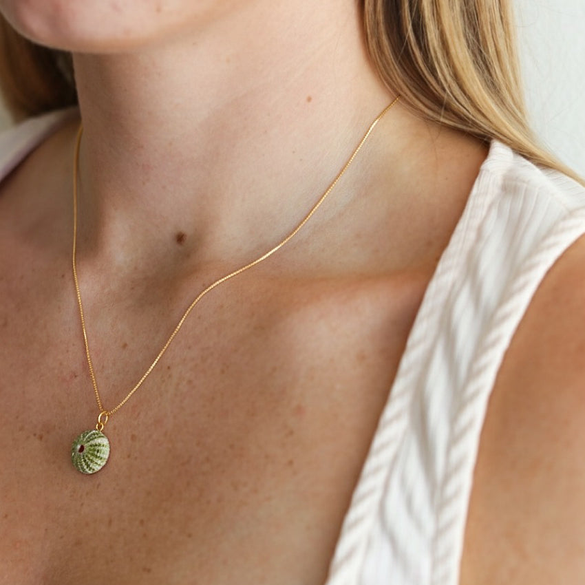 Sea Urchin Shell necklace
