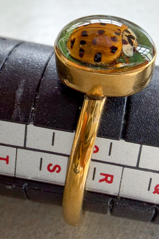 LadyBug Ring