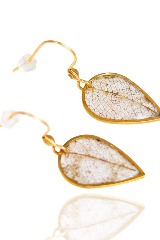 Skeleton Leaf Complete Set