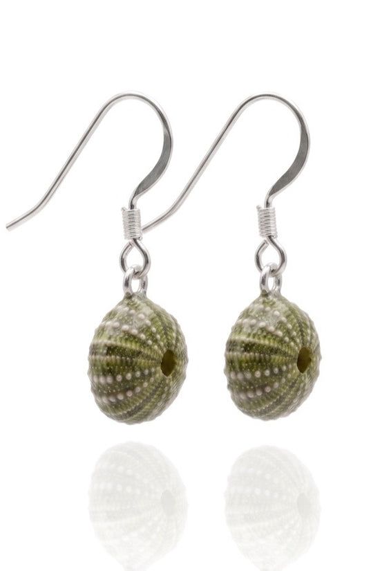 Sea Urchin Shell Earrings
