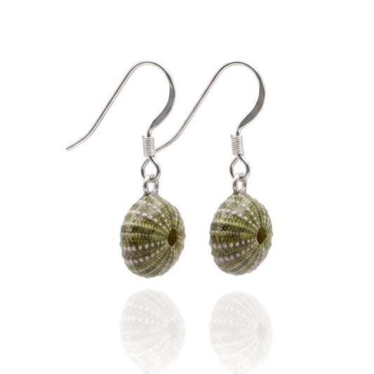 Sea Urchin Shell Earrings