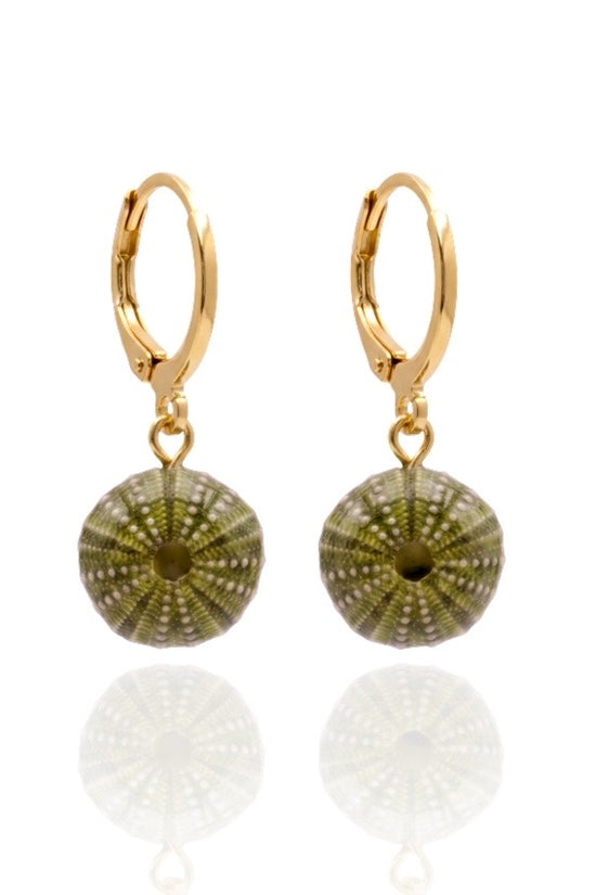Sea Urchin Shell Earrings
