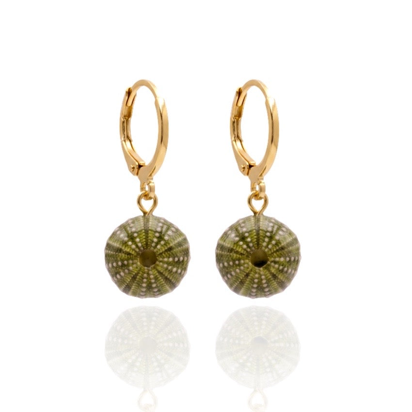 Sea Urchin Shell Earrings