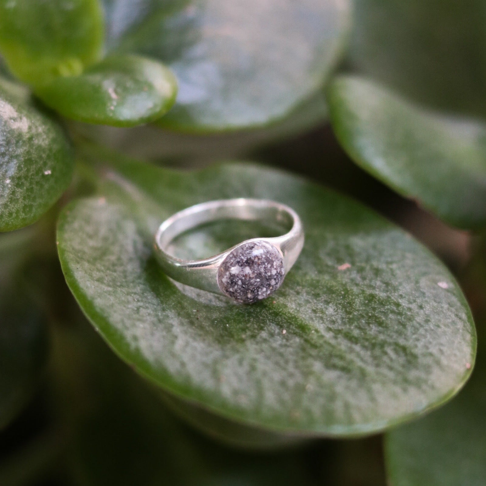 Signet Keepsake Ring