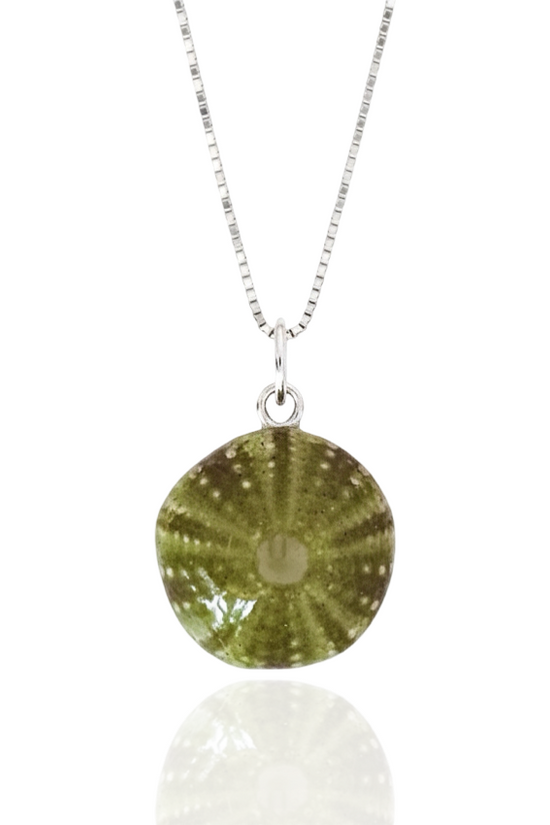Sea Urchin Shell necklace