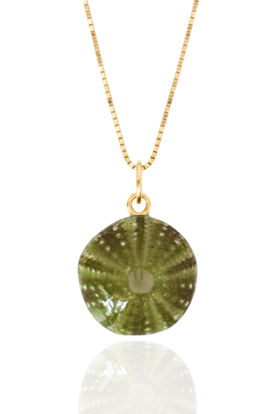 Sea Urchin Shell necklace