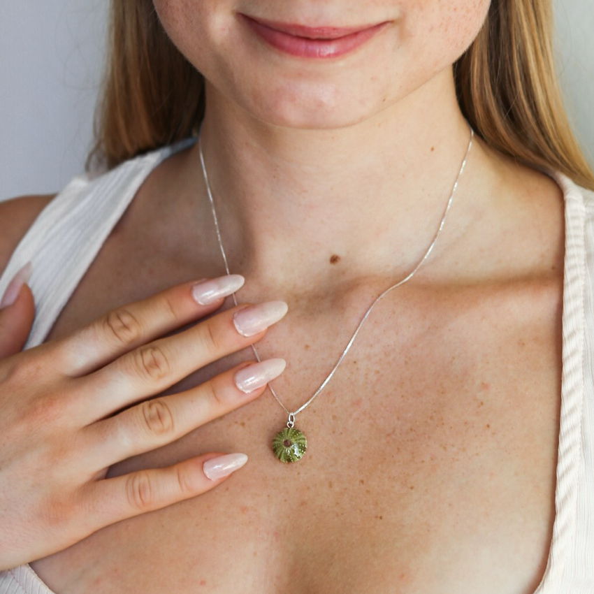 Sea Urchin Shell necklace