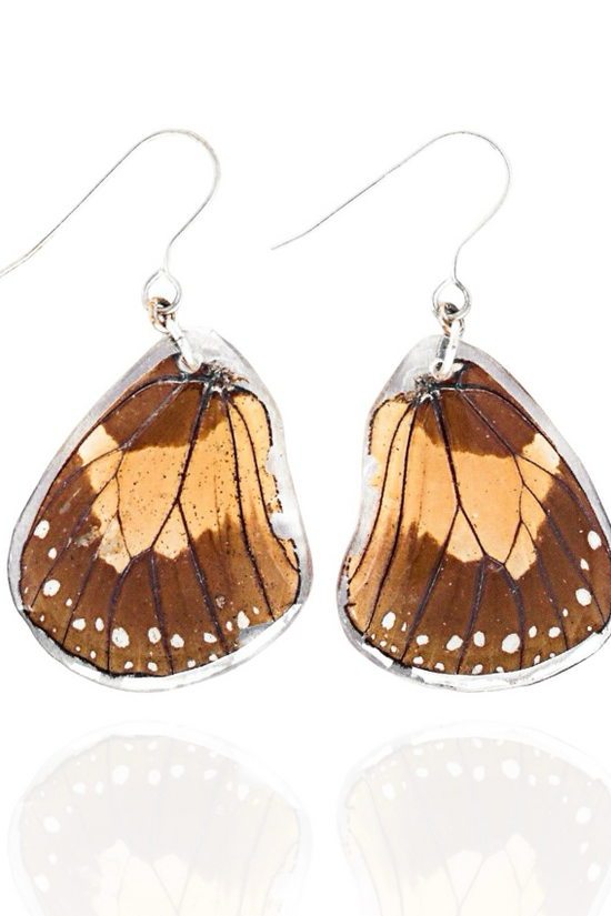 Butterfly Wing Earrings