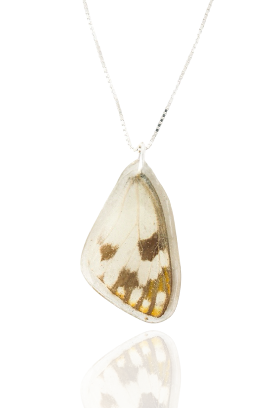 Butterfly Wing Necklace