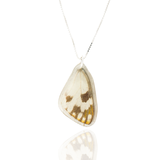 Butterfly Wing Necklace