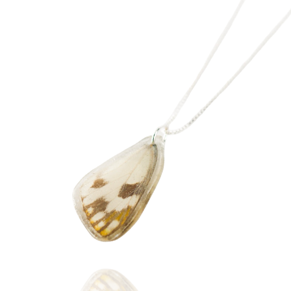 Butterfly Wing Necklace