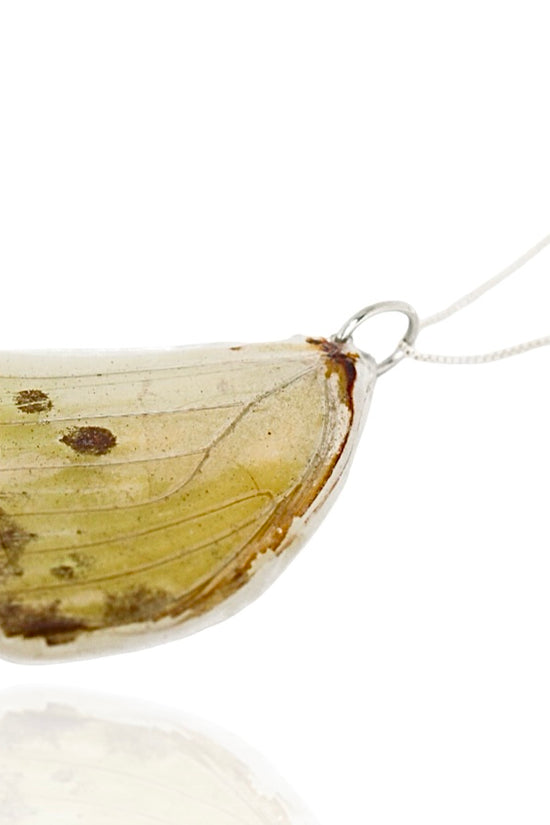 Butterfly Wing Necklace