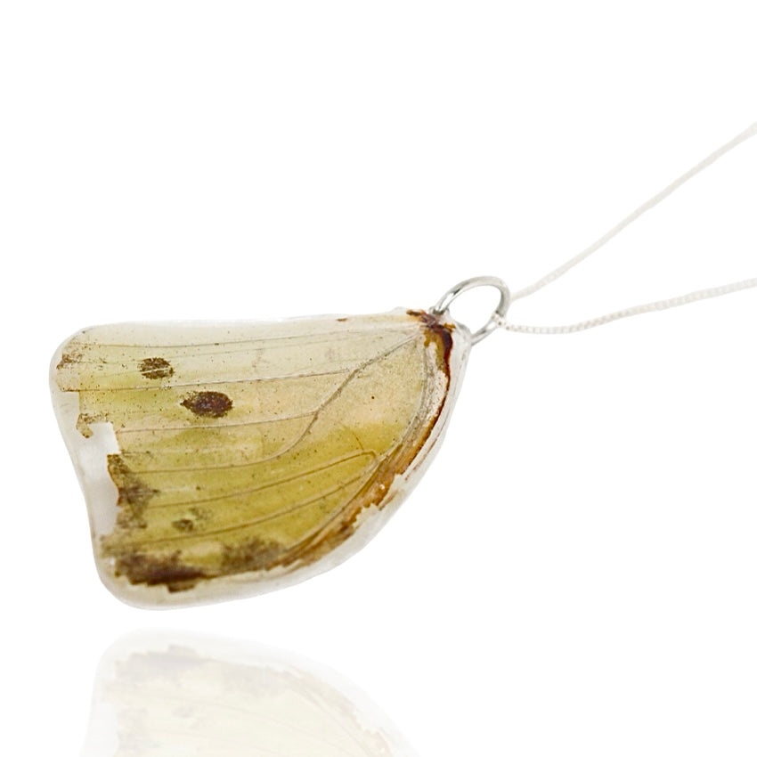 Butterfly Wing Necklace