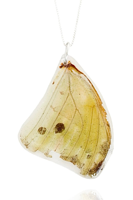 Butterfly Wing Necklace