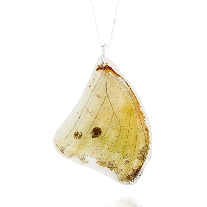 Butterfly Wing Necklace