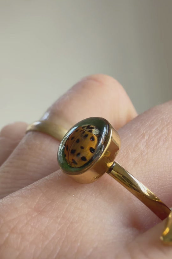 LadyBug Ring