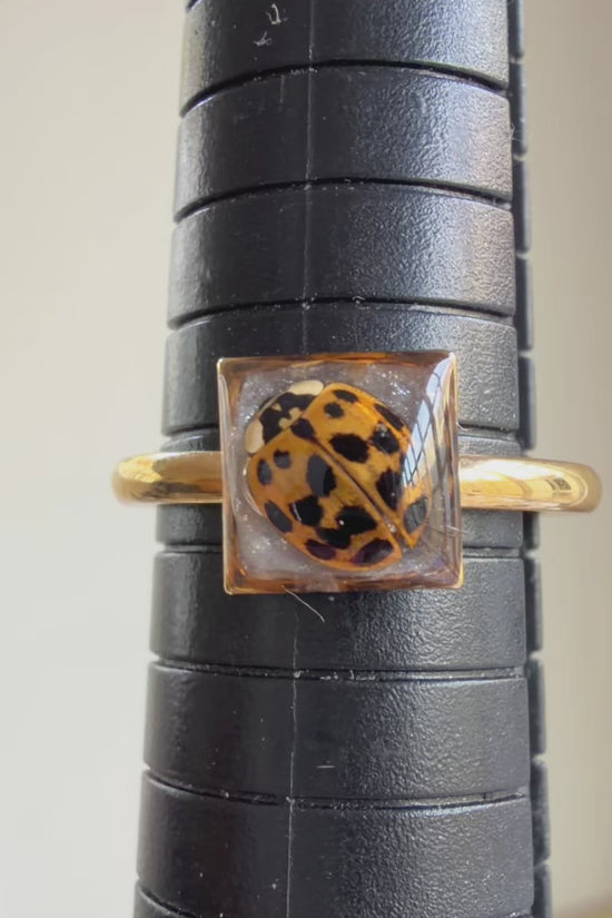 LadyBug Ring